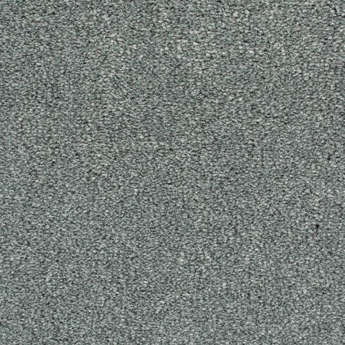 Pewter 275 Oxford Saxony Carpet 4.17m x 5m Remnant