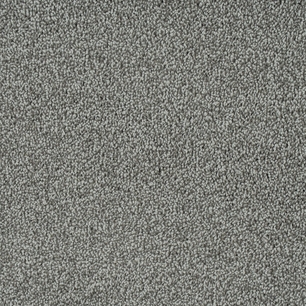 Platinum 174 Emotion Classic Intenza Carpet 5m x 5m Remnant