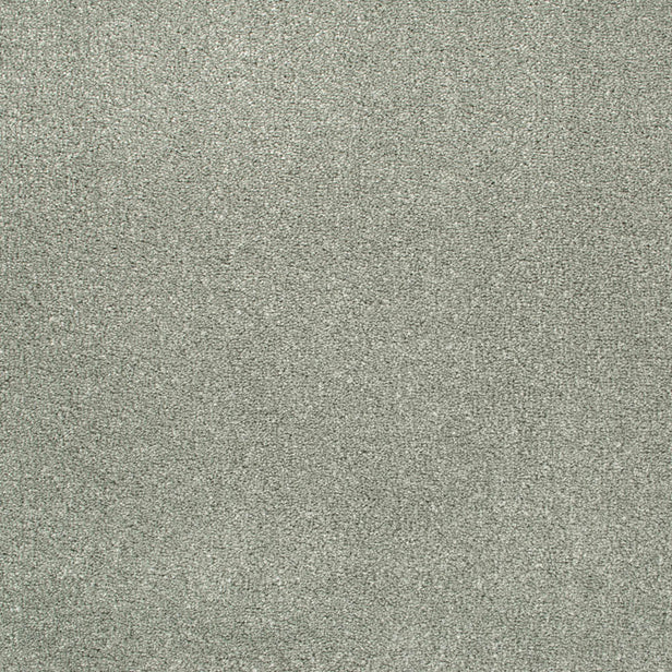 Platinum 274 Oxford Saxony Carpet 5.45m x 5m Remnant