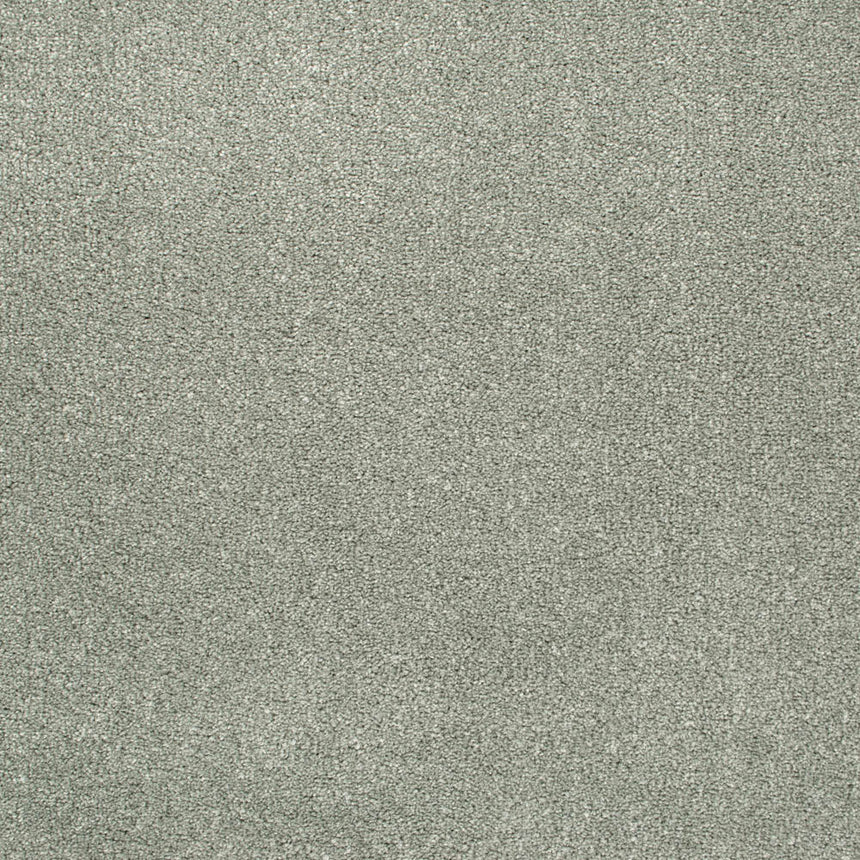 Platinum 274 Oxford Saxony Carpet 5.45m x 5m Remnant