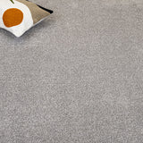 Sable Coast Twist Carpet Clearance