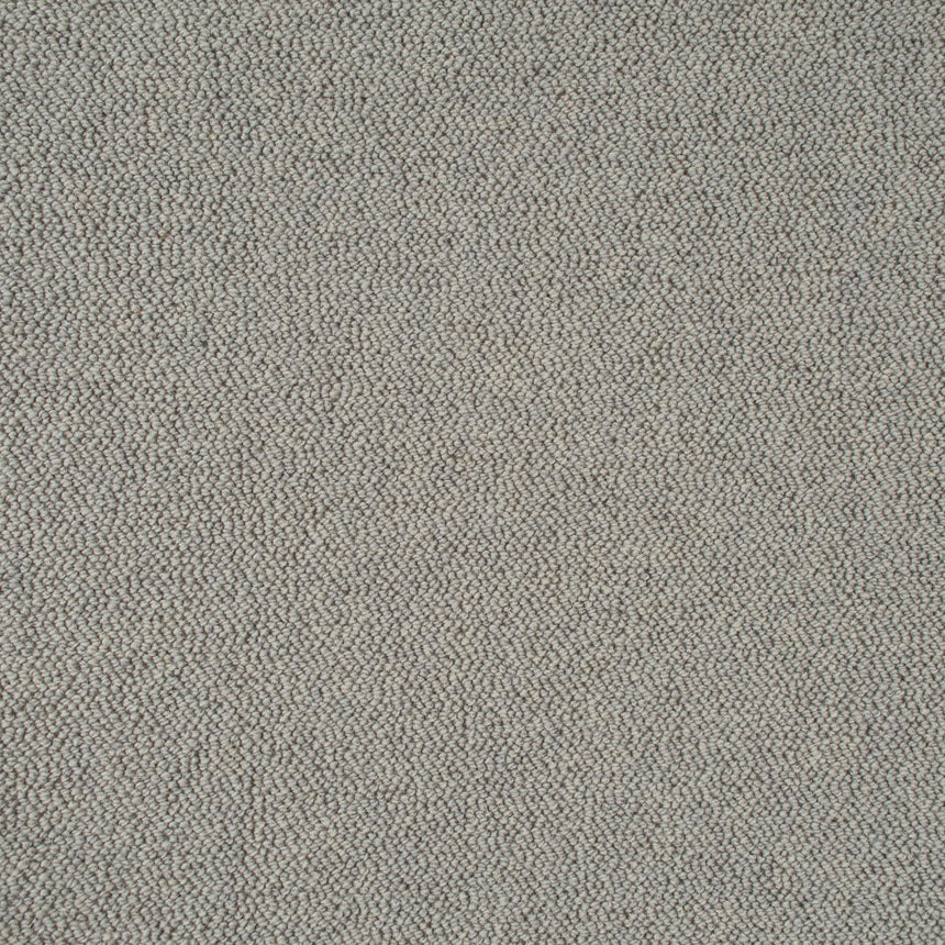Shale Grey Illinois Loop Carpet 5m x 5m Remnant