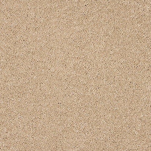 Soft Buff Velvet Dreams Love Story Carpet by Abingdon