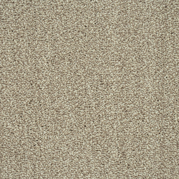 Stone Beige 72 Emotion Classic Intenza Carpet 4.12m x 5m Remnant