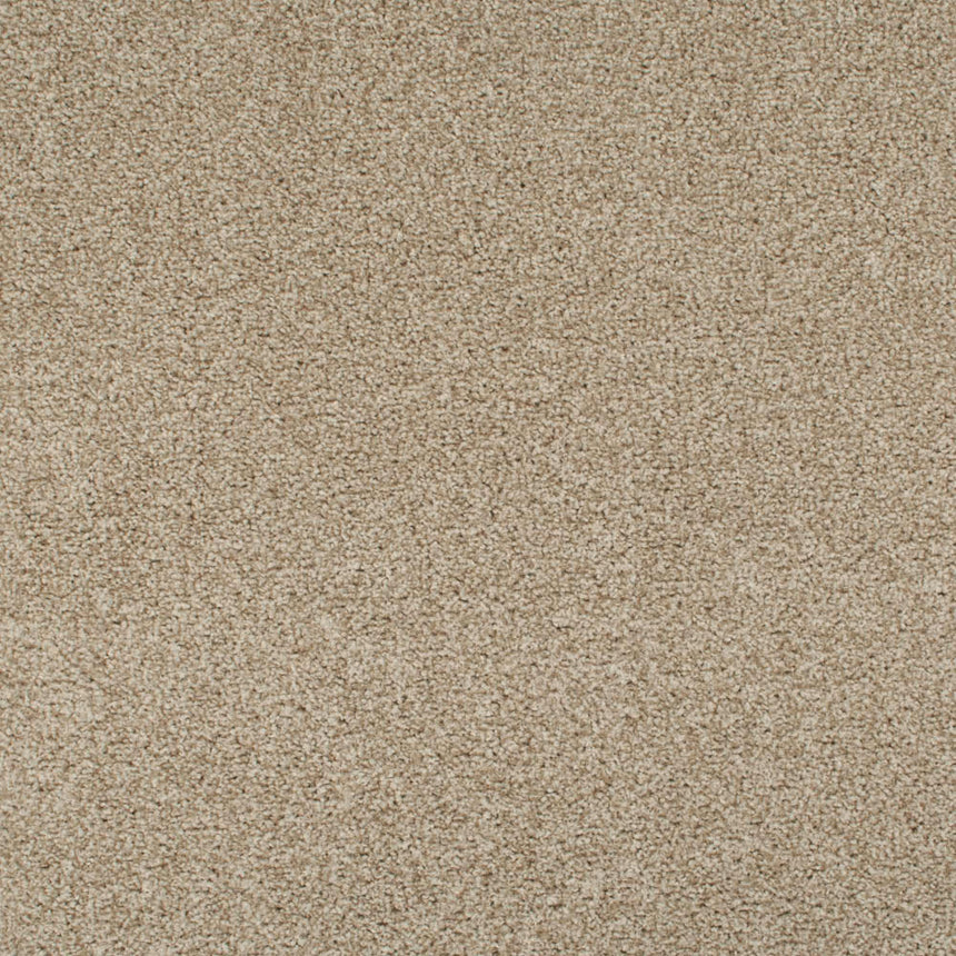 Summer Pecan 46 Tuftex Twist Carpet Clearance 2.1m x 5m Remnant