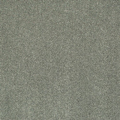 Warm Grey 74 Oxford Saxony Carpet 5.44m x 5m Remnant
