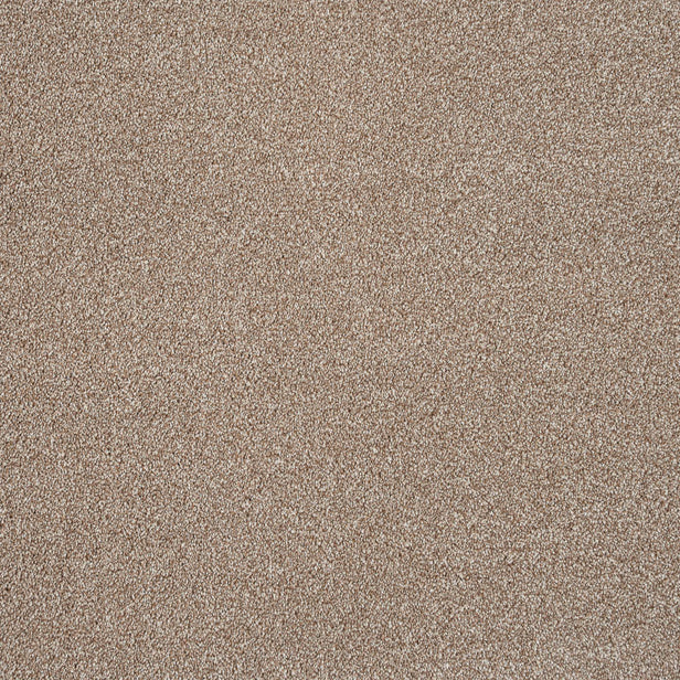 Acacia 34 Cassius 70oz Invictus Carpet