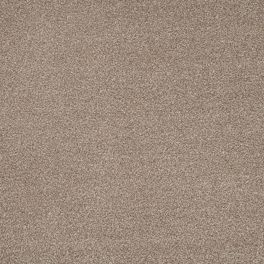Acacia 34 Darius 50oz Invictus Carpet