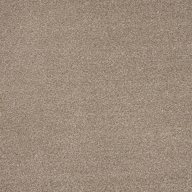 Acacia 34 Darius 50oz Invictus Carpet
