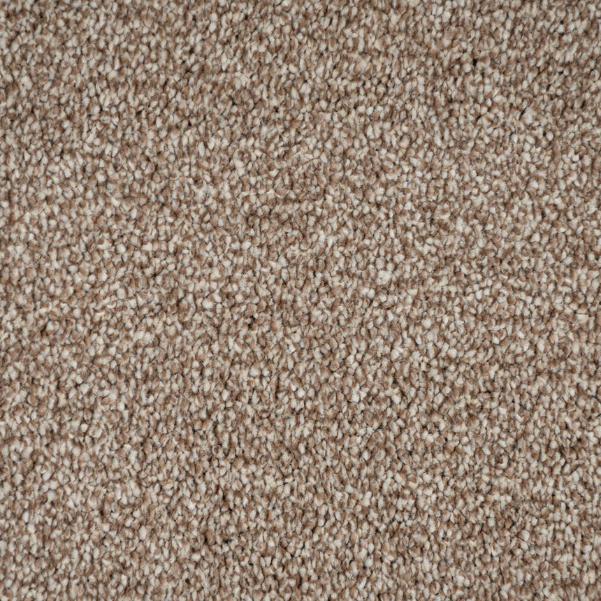 Acacia 34 Darius 50oz Invictus Carpet