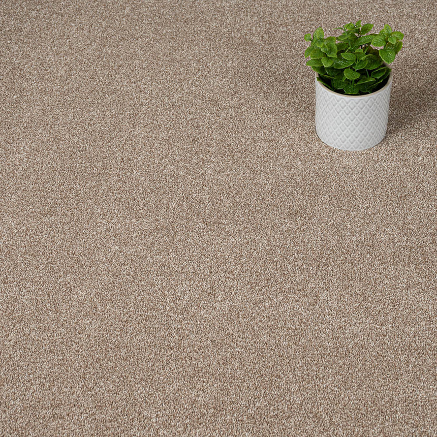 Acacia 34 Darius 50oz Invictus Carpet