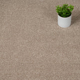 Acacia 34 Darius 50oz Invictus Carpet