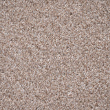 Almond Beige 800 Liberty Heathers Twist Carpet