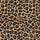 Javan Leopard JAG44