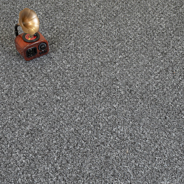 Anthracite Alabama Loop Carpet