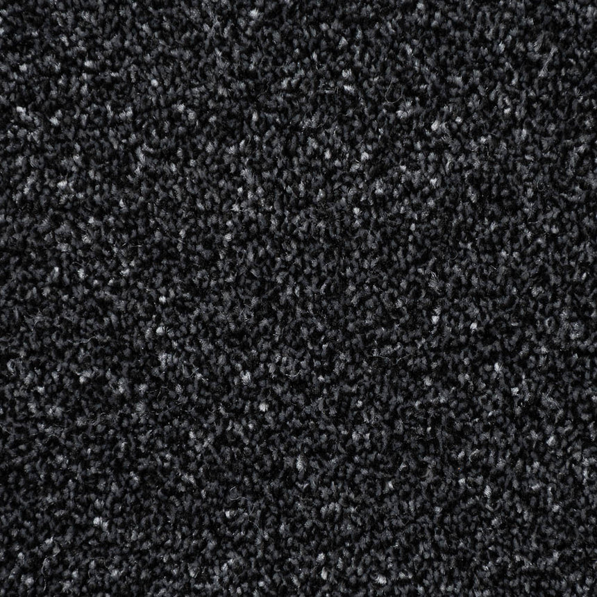 Anthracite Dovecote Saxony Carpet