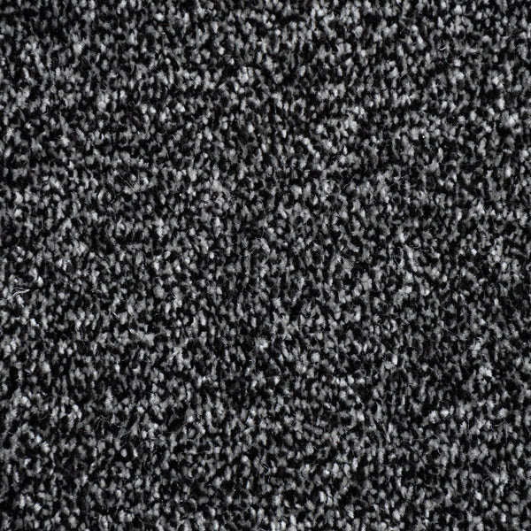 Anthracite Grey Polaris Luxury Saxony Carpet