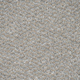 Arctic Fox 11 Stainfree Tweed Carpet by Abingdon