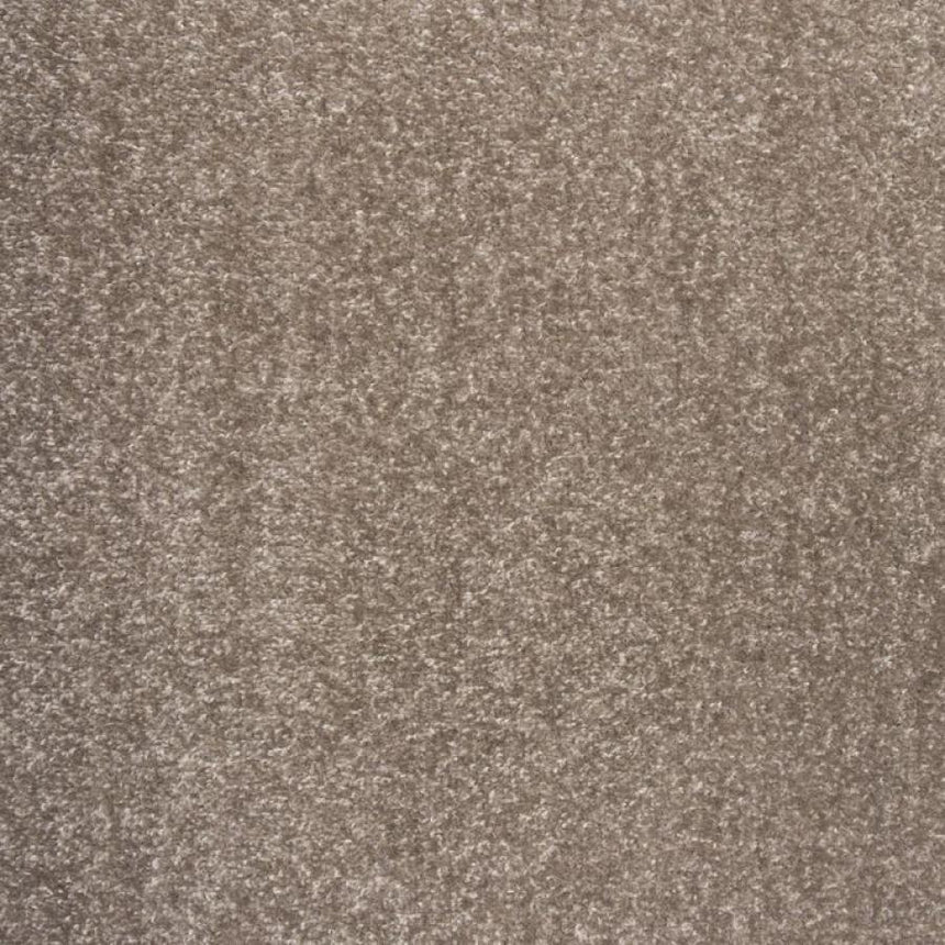 Ash 140 Dublin Twist Actionback Carpet Clearance