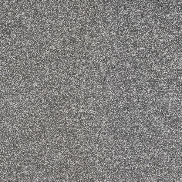 Ash Coast Twist Carpet Clearance
