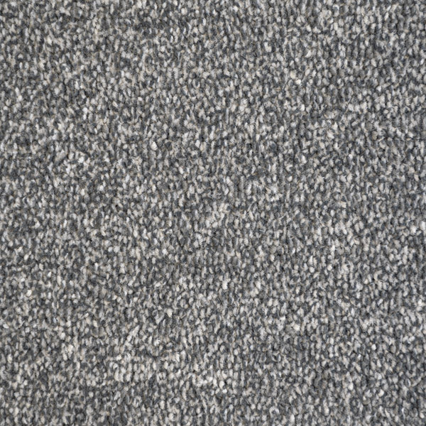 Ash Coast Twist Carpet Clearance