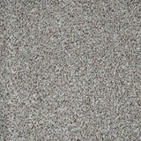 Ashen Drift Stainfree Knightsbridge Berber Carpet by Abingdon