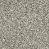 Stainfree Knightsbridge Berber Carpet by Abingdon
