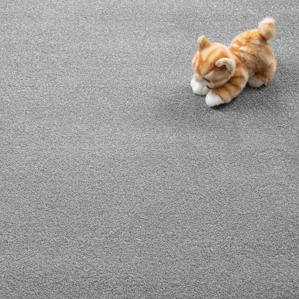 Ash Grey 92 Sirius 70oz Invictus Carpet