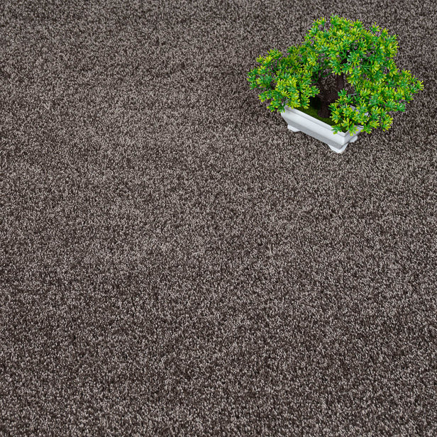 Attic 40 Dorado 56oz Invictus Gaia Carpet