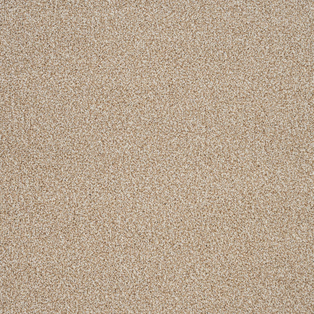 Stainaway Harvest Heathers Deluxe Carpet