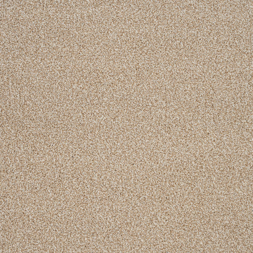 Stainaway Harvest Heathers Deluxe Carpet