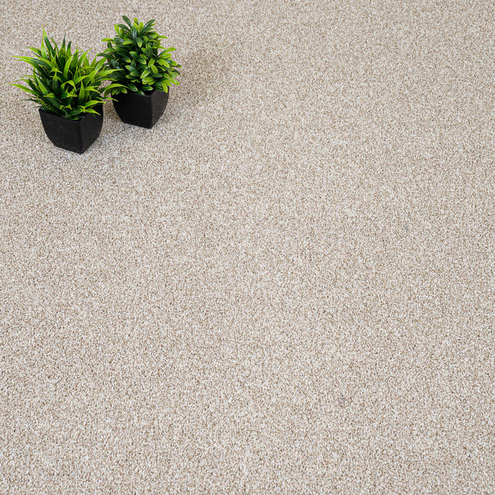 Autumn Mist 04 StainGuard Harvest Heathers Carpet | Online Carpets