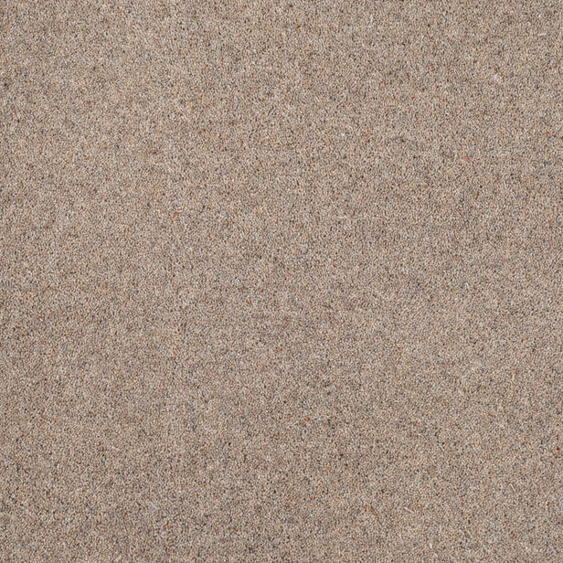 Avon Riverside Twist 60oz Carpet 4.8m x 5m Remnant