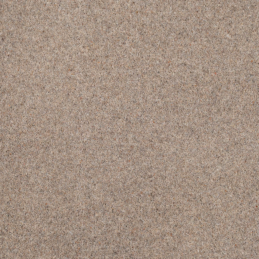 Avon Riverside Twist 60oz Carpet 4.8m x 5m Remnant