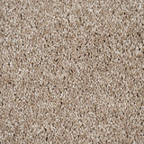 Barbados 35 Dorado 56oz Invictus Gaia Carpet