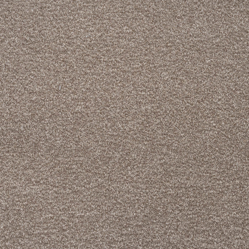 Bark Brown Delphi Twist Carpet