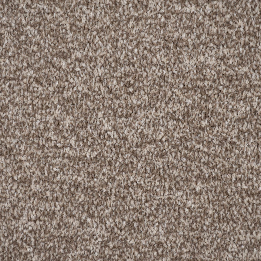 Bark Brown Delphi Twist Carpet