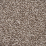 Bark Brown Delphi Twist Carpet