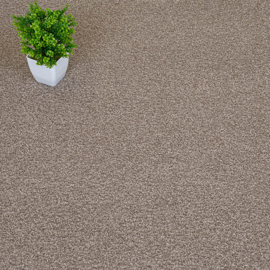 Bark Brown Delphi Twist Carpet