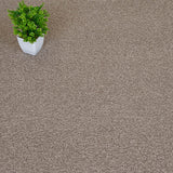 Bark Brown Delphi Twist Carpet