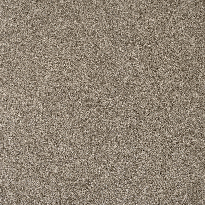 Bark Brown Dunham Saxony Carpet