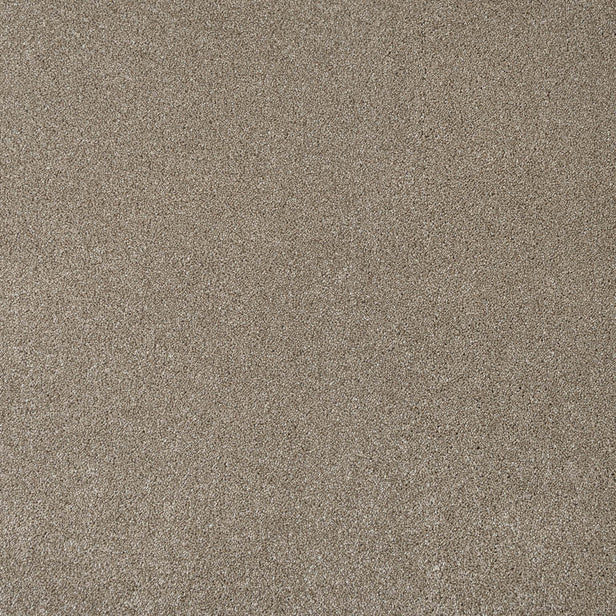 Bark Brown Dunham Saxony Carpet