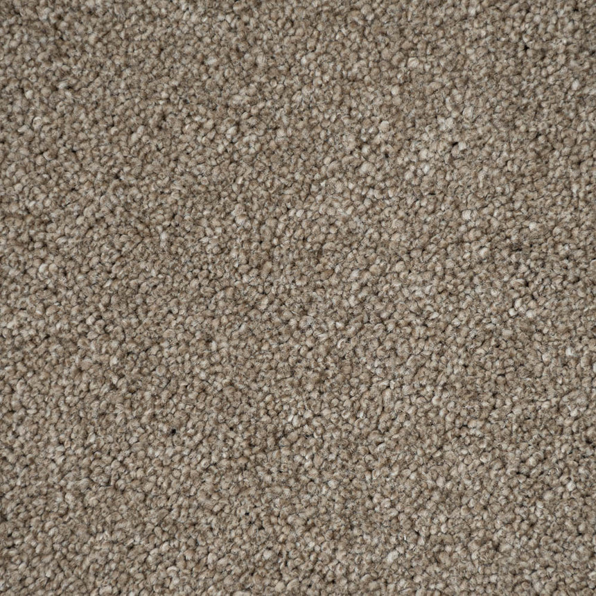 Bark Brown Dunham Saxony Carpet
