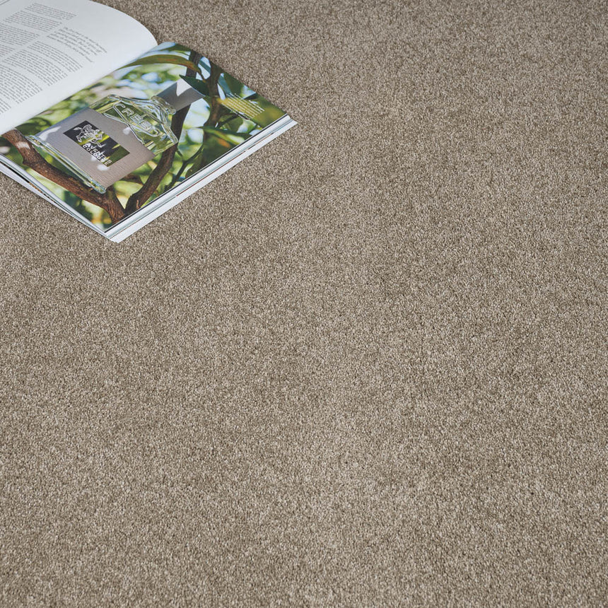 Bark Brown Dunham Saxony Carpet