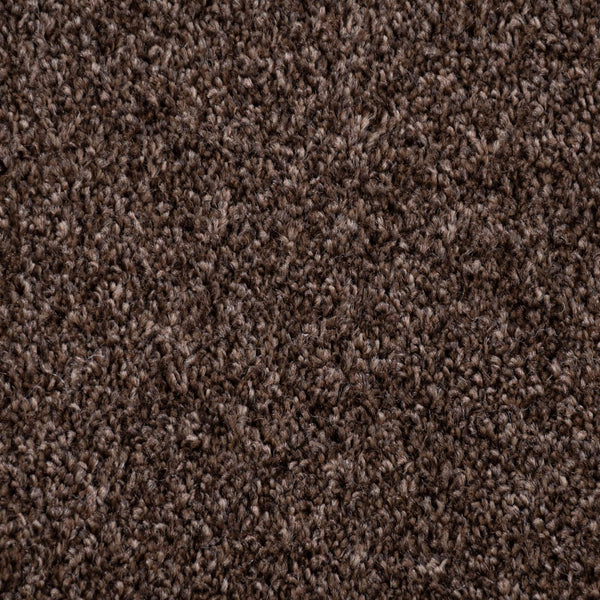 Bark Louisiana Saxony Carpet