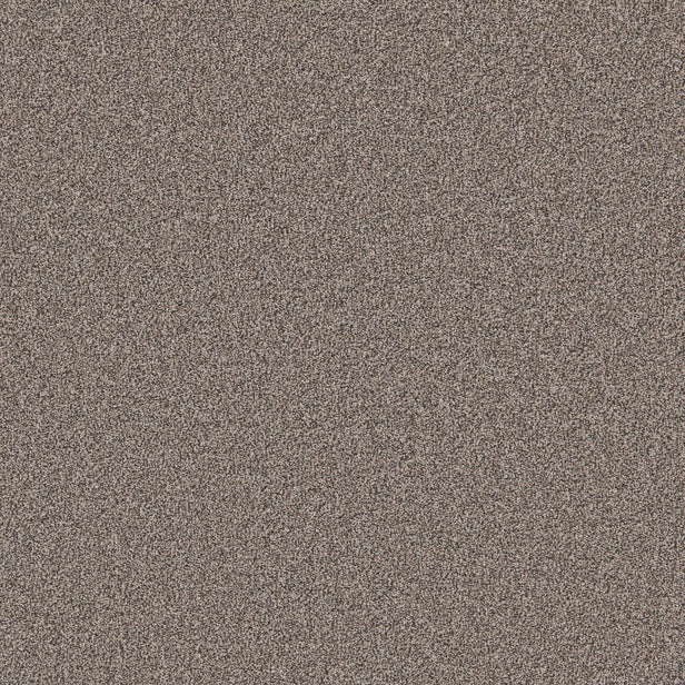 Basalt Primo Naturals Carpet by Cormar