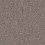 Primo Naturals Carpet by Cormar