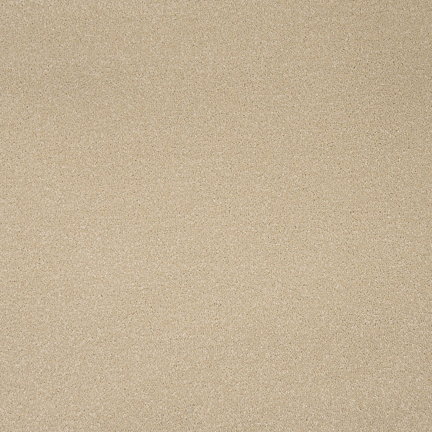 Beachcomber Primo Plus Carpet by Cormar