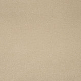 Beachcomber Primo Plus Carpet by Cormar