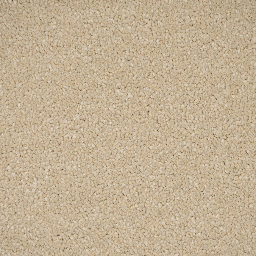 Beachcomber Primo Plus Carpet by Cormar